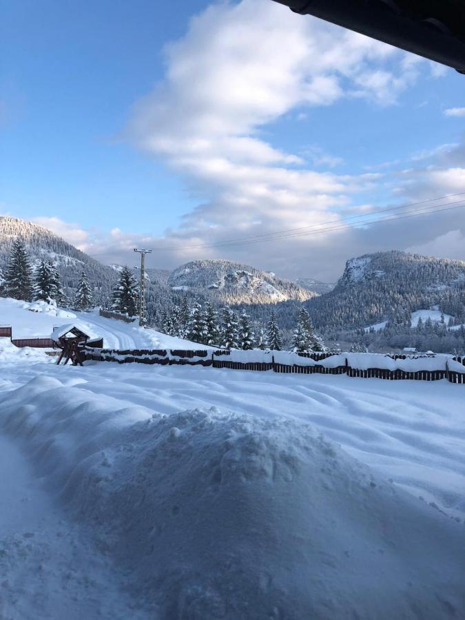 Pensiunea Hasmas Lacul Roşu Exterior foto