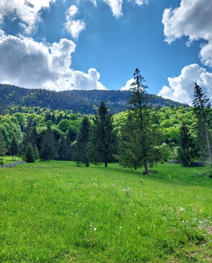 Pensiunea Hasmas Lacul Roşu Exterior foto